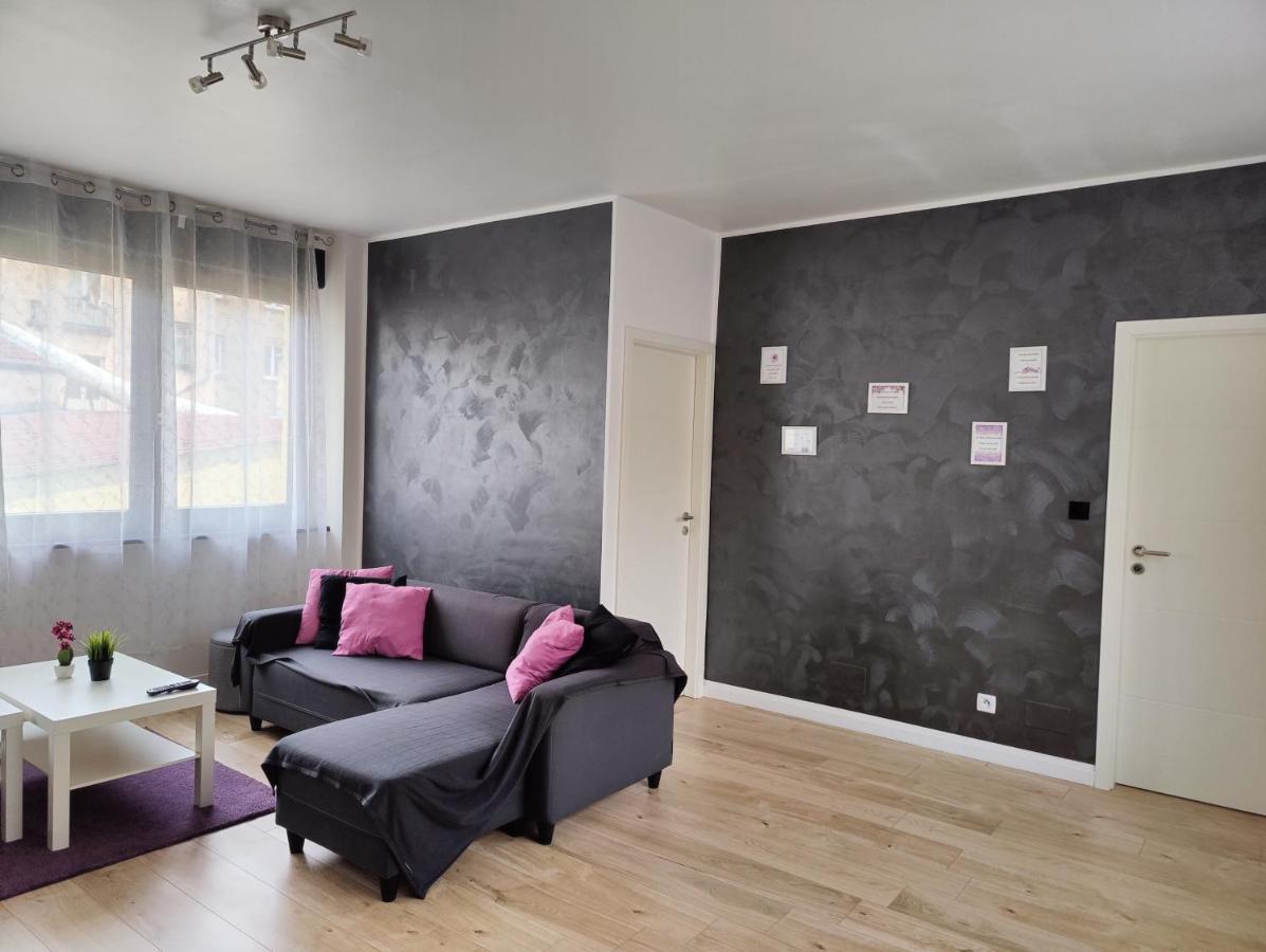Le Purple, Appartement De Standing En Hypercentre Саргемин Екстериор снимка